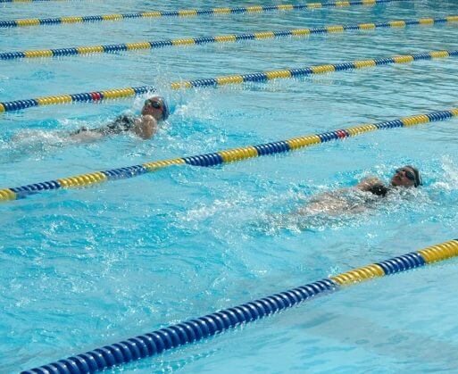 阳光州运动会与萨拉索塔海牛节和摔跤锦标赛夏季开放